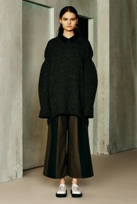 Ji Oh RTW Fall 2016