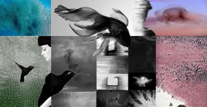 Dorhout Mees Paris Designer Inspirations Fall 2016