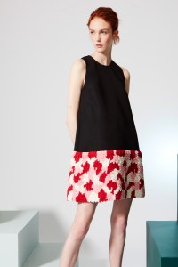 Novis Resort 2017