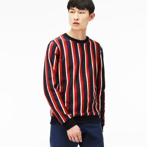Agi & Sam Lacoste Live Collection