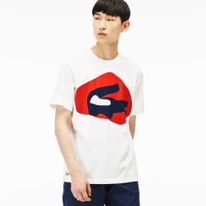 Agi & Sam Lacoste Live Collection