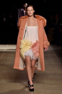 Miu Miu RTW Fall 2017