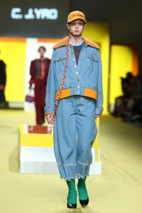 CJ Yao fall 2017