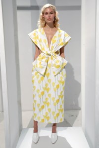Claudia Li RTW Spring 2018