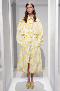 Claudia Li RTW Spring 2018