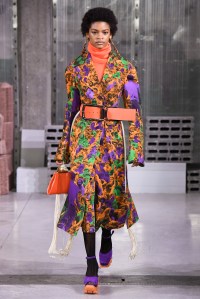 Marni RTW Fall 2018