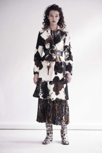 Roberto Cavalli Pre-Fall 2019