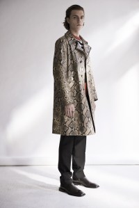 Roberto Cavalli Pre-Fall 2019