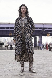Roberto Cavalli Pre-Fall 2019