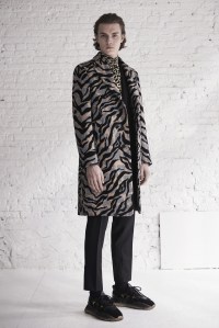 Roberto Cavalli Pre-Fall 2019