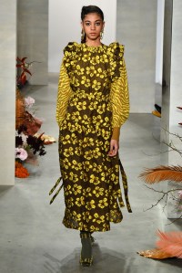 Ulla Johnson RTW Fall 2019