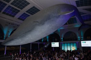 The scene at the Fashion Institute of Technology 2019 Annual Awards Gala.