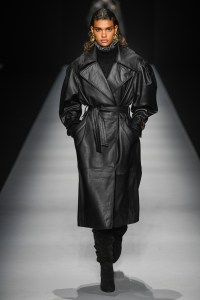 Alberta Ferretti RTW Fall 2020