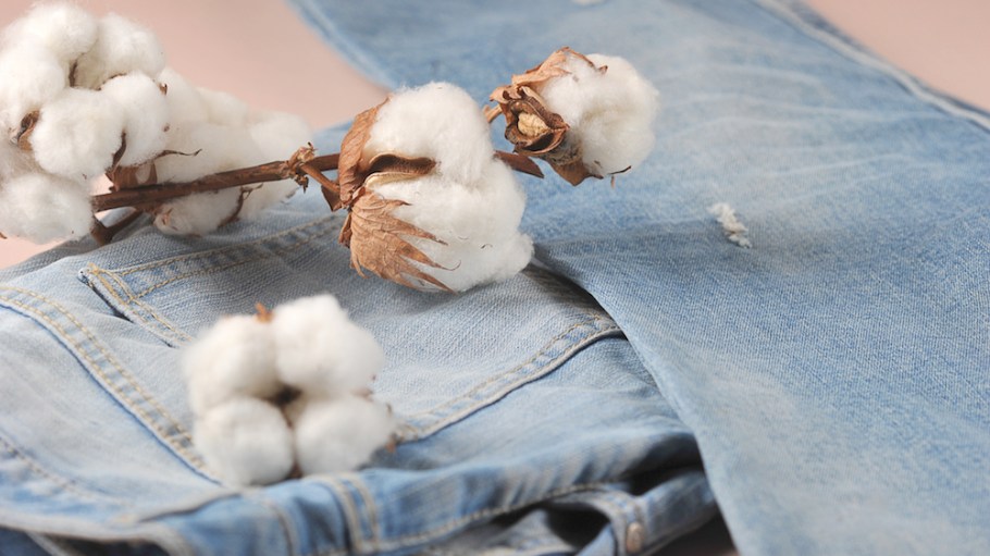 After producing its first pair of jeans with Imogene + Willie, Vidalia Mills will create 500 Made in USA denim jobs by August 2020.
