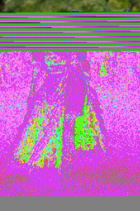 Philosophy RTW Spring 2021