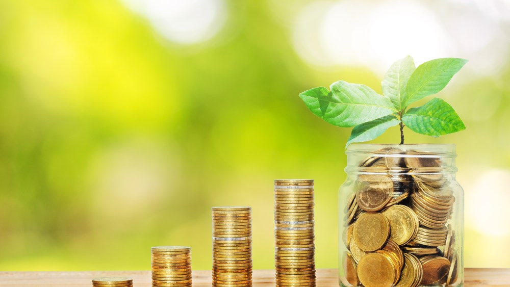 green plant growing up on golden coin in glass jar with money stack on wood table with blur nature background. business financial banking saving concept. investment profit income. startup. successful.