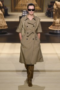 Christian Dior Fall 2024 Ready-to-Wear Collection at Paris Fashion Week